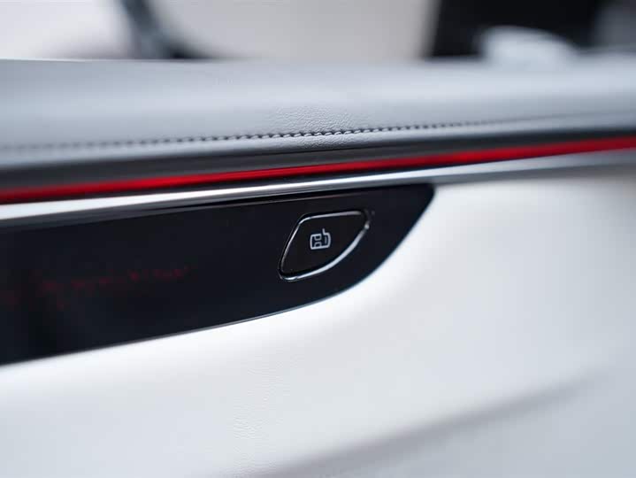 HiPhi X 2021 2021款 创始版4座