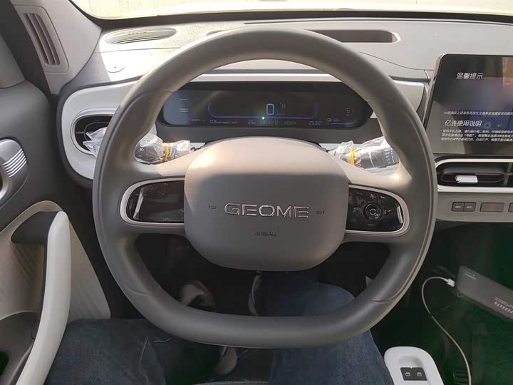 Geely Galaxy Panda Mini 2025 2025款 熊猫mini 210km 元气熊