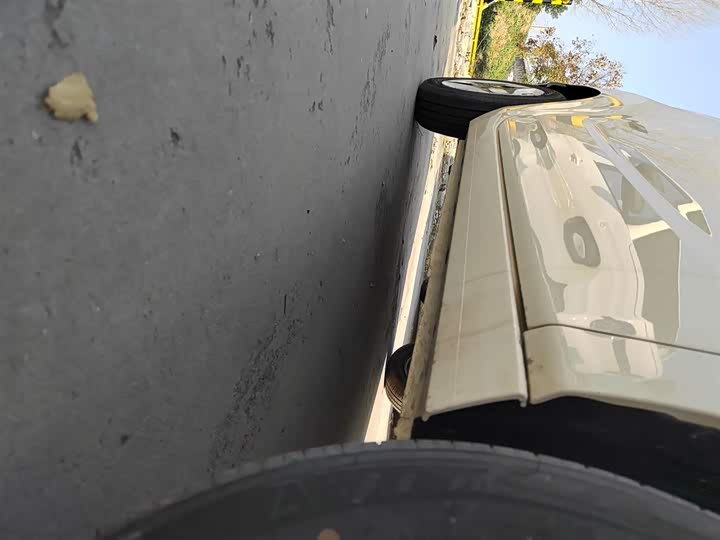 Geely Galaxy Panda Mini 2025 2025款 熊猫mini 210km 元气熊