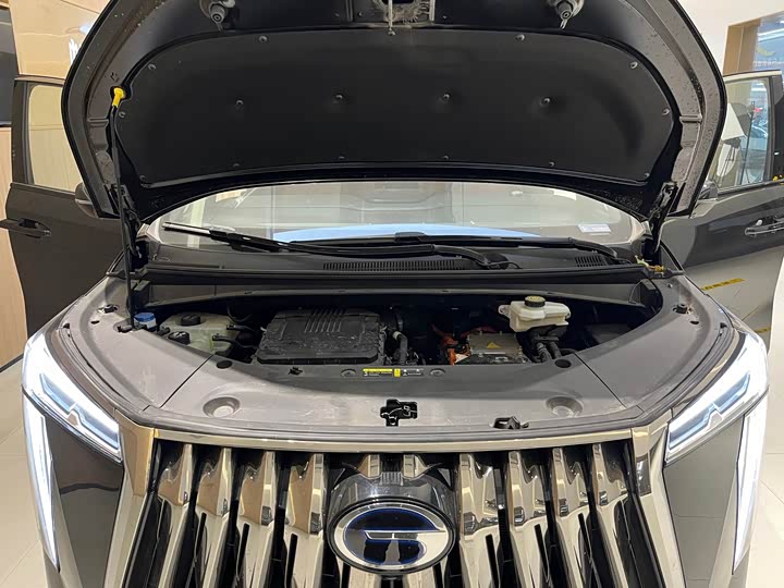 GAC Trumpchi E9 2024 2024款 E9 冠军版