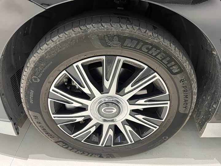 GAC Trumpchi E9 2024 2024款 E9 冠军版