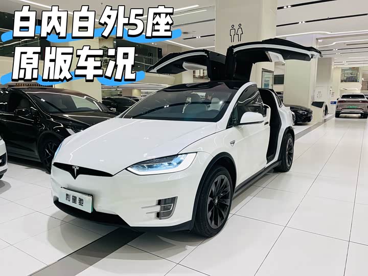 Tesla Model X 2020 2020款 长续航升级版