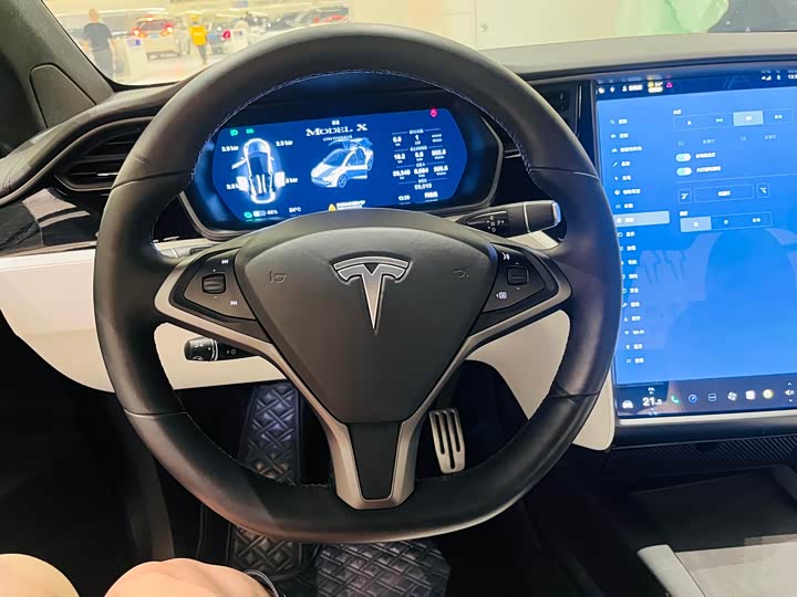 Tesla Model X 2020 2020款 长续航升级版