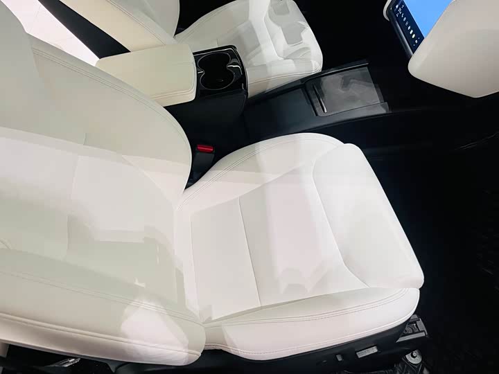 Tesla Model X 2020 2020款 长续航升级版