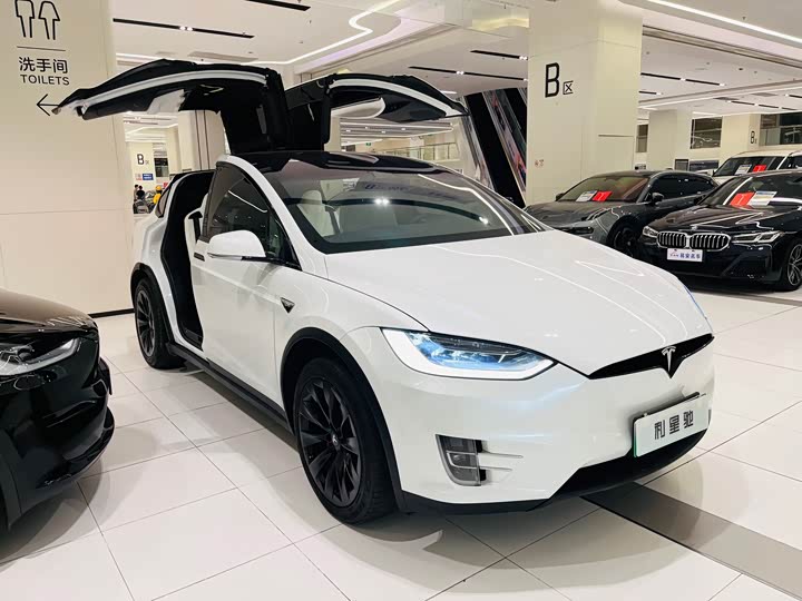 Tesla Model X 2020 2020款 长续航升级版