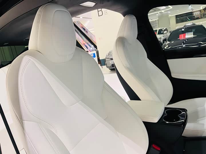 Tesla Model X 2020 2020款 长续航升级版