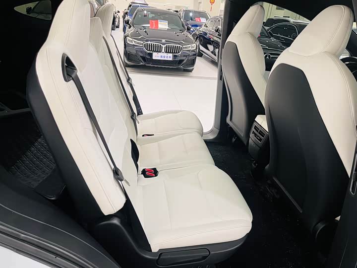 Tesla Model X 2020 2020款 长续航升级版