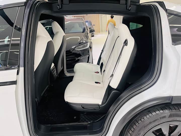 Tesla Model X 2020 2020款 长续航升级版