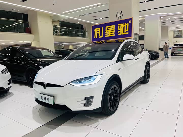 Tesla Model X 2020 2020款 长续航升级版
