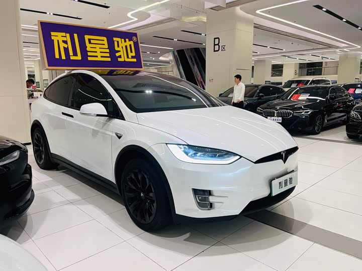 Tesla Model X 2020 2020款 长续航升级版