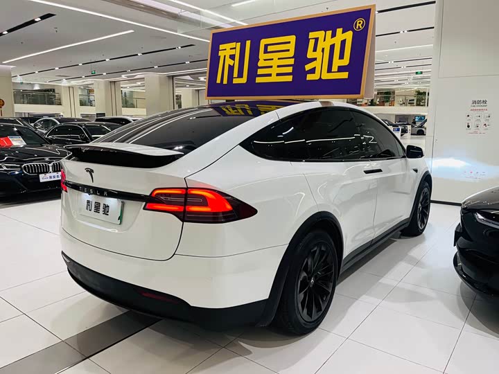 Tesla Model X 2020 2020款 长续航升级版