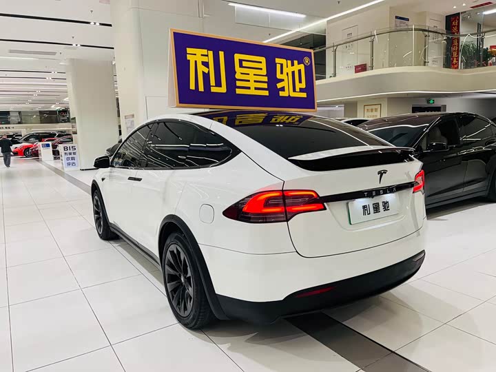 Tesla Model X 2020 2020款 长续航升级版