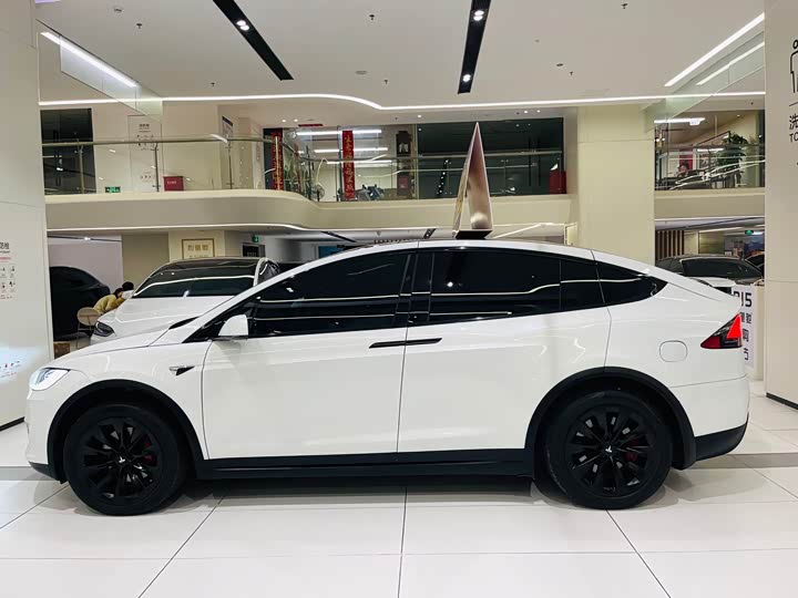 Tesla Model X 2020 2020款 长续航升级版