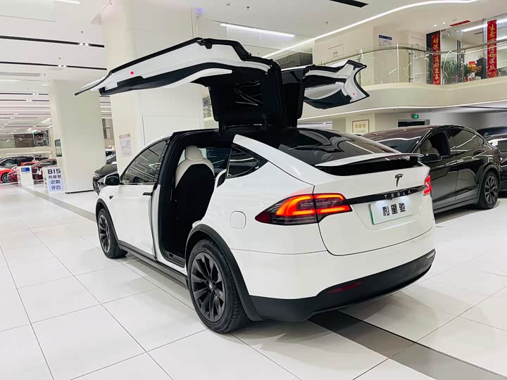 Tesla Model X 2020 2020款 长续航升级版