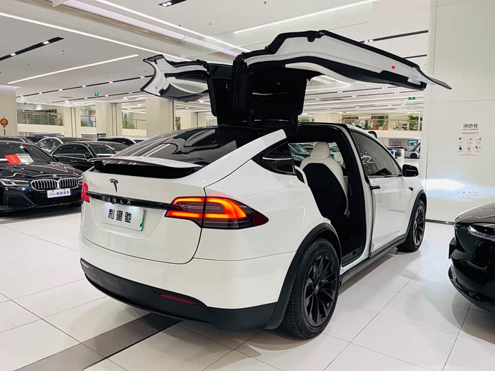 Tesla Model X 2020 2020款 长续航升级版