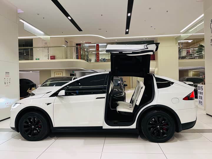 Tesla Model X 2020 2020款 长续航升级版