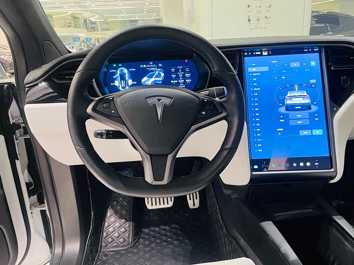 Tesla Model X 2020 2020款 长续航升级版