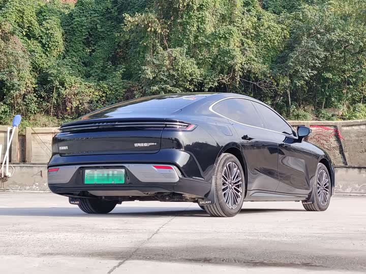 Geely Galaxy Starshine 8 EM-i 2025 2025款 130km EM-i 尊享版