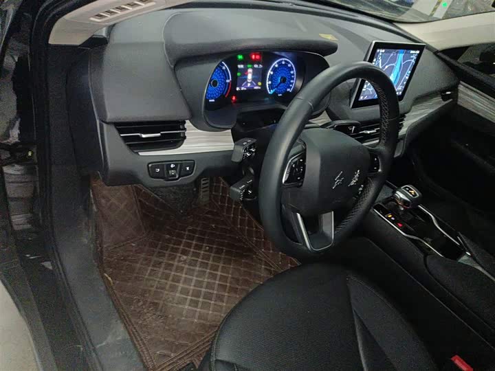 Hongqi E-QM5 2024 2024款 560km PLUS