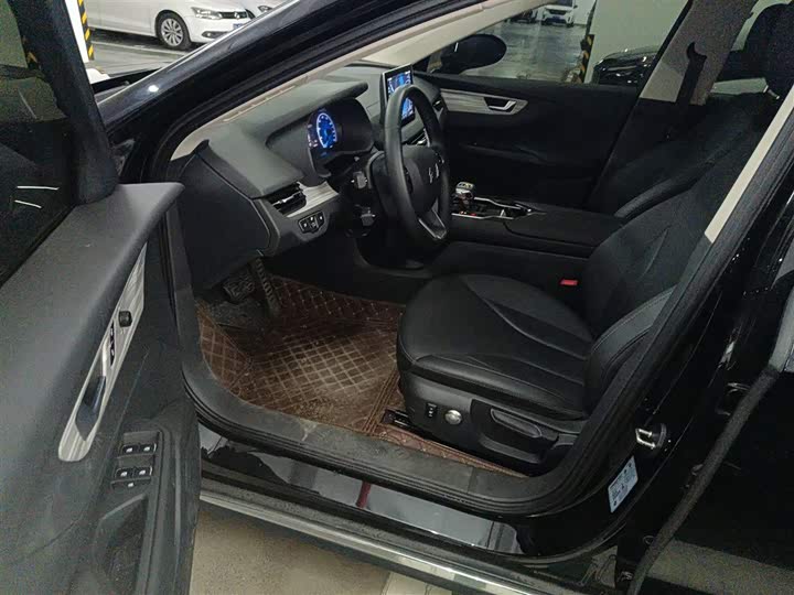 Hongqi E-QM5 2024 2024款 560km PLUS