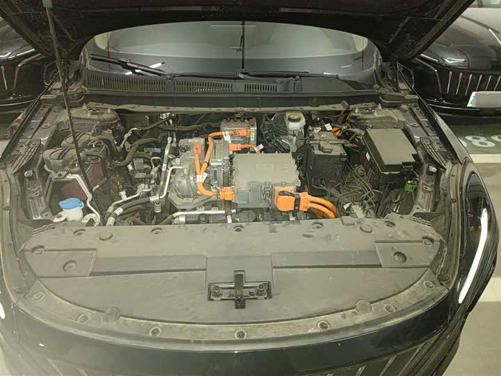 Hongqi E-QM5 2024 2024款 560km PLUS