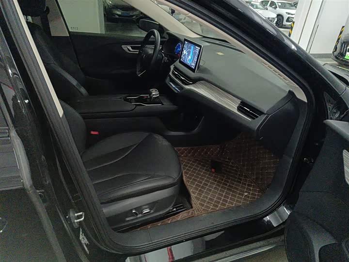 Hongqi E-QM5 2024 2024款 560km PLUS