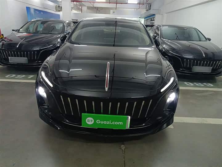 Hongqi E-QM5 2024 2024款 560km PLUS