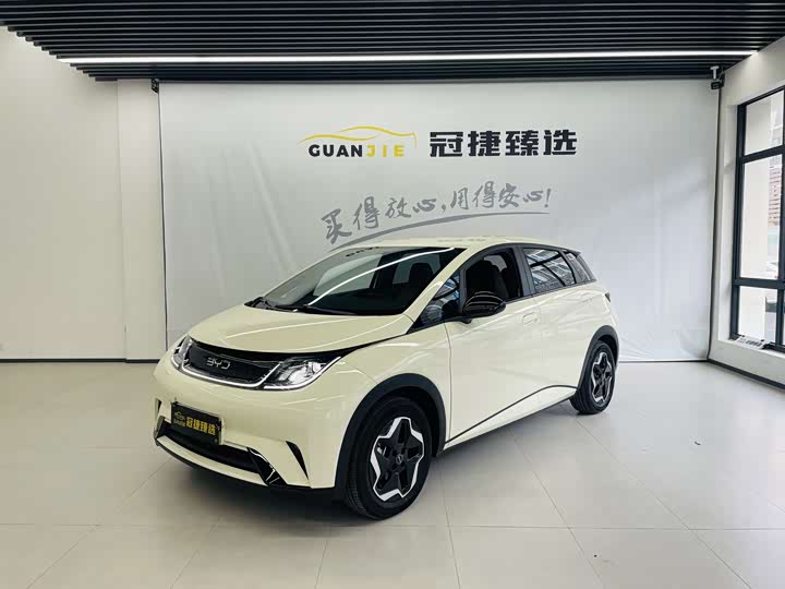 BYD Dolphin 2025 2025款 420km 活力版