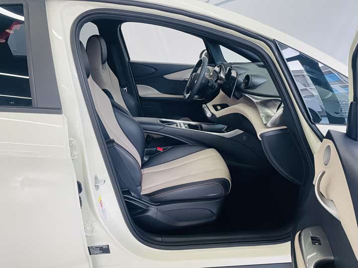 BYD Dolphin 2025 2025款 420km 活力版