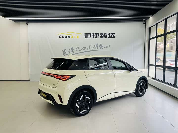 BYD Dolphin 2025 2025款 420km 活力版