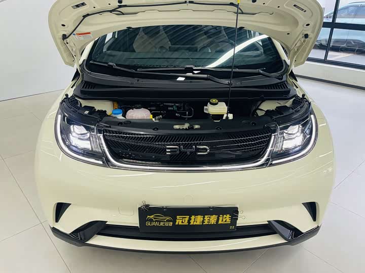 BYD Dolphin 2025 2025款 420km 活力版