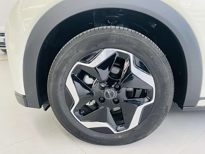 BYD Dolphin 2025 2025款 420km 活力版