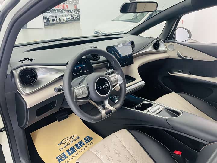 BYD Dolphin 2025 2025款 420km 活力版