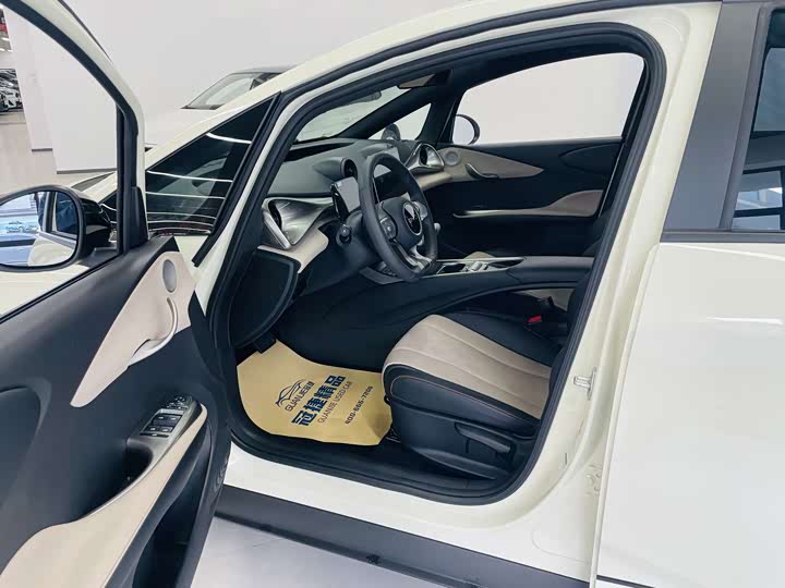 BYD Dolphin 2025 2025款 420km 活力版