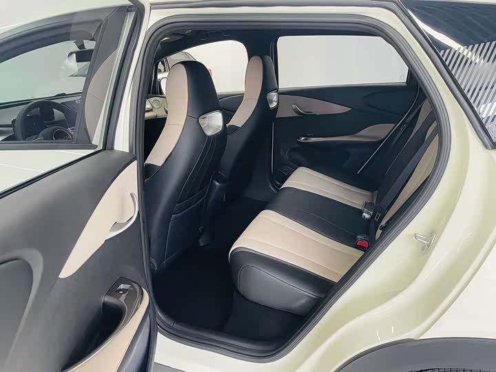 BYD Dolphin 2025 2025款 420km 活力版