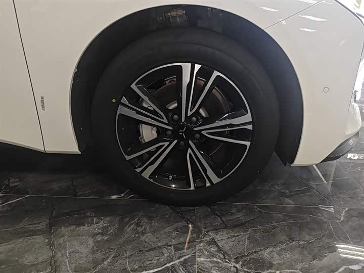 Hongqi EH7 2024 2024款 690 Pro