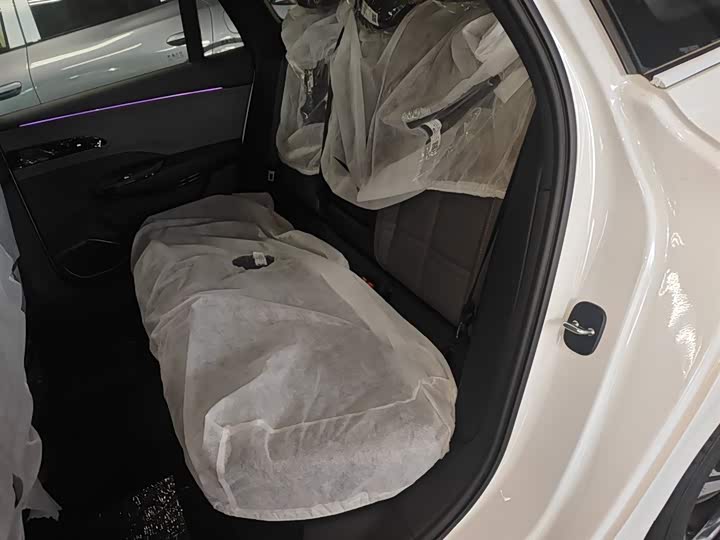 Hongqi EH7 2024 2024款 690 Pro