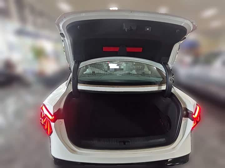 Hongqi EH7 2024 2024款 690 Pro