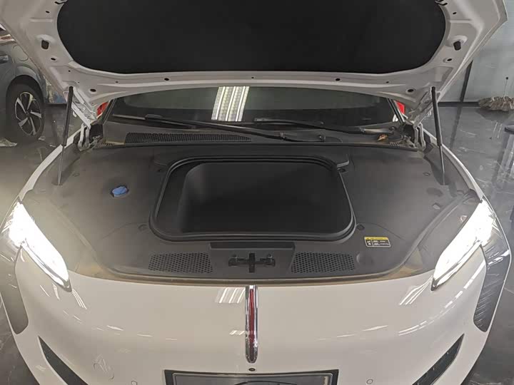 Hongqi EH7 2024 2024款 690 Pro