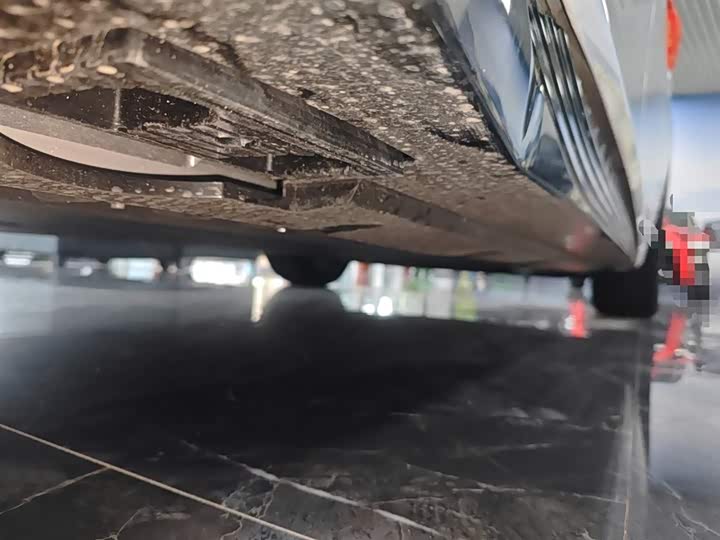 Hongqi EH7 2024 2024款 690 Pro