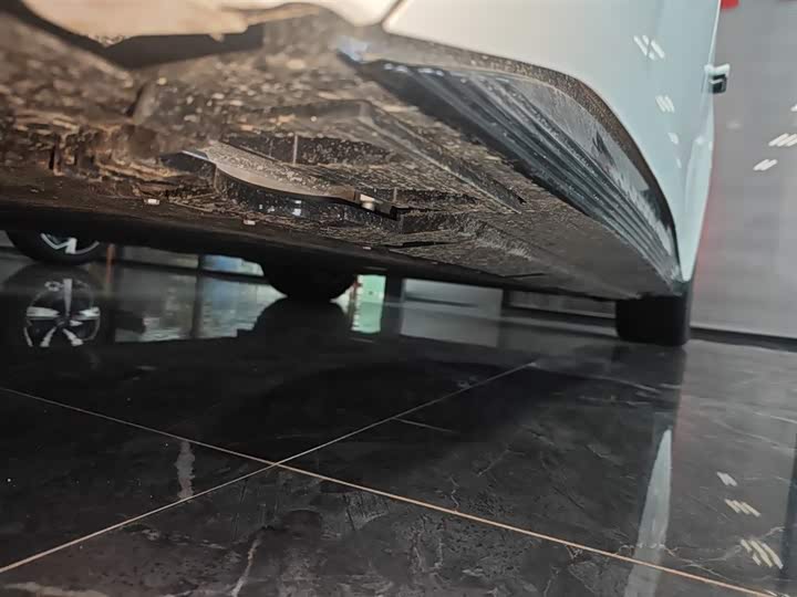 Hongqi EH7 2024 2024款 690 Pro