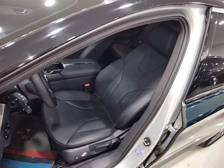 Hongqi E-QM5 2024 2024款 610km PLUS