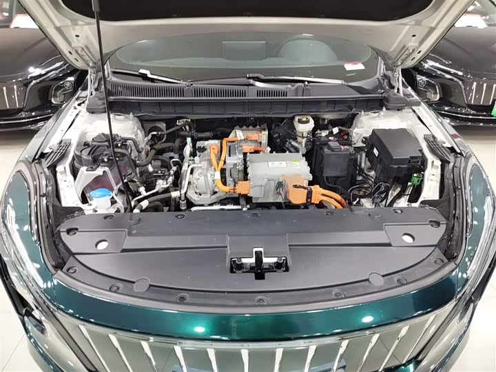 Hongqi E-QM5 2024 2024款 610km PLUS
