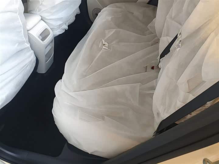 Geely Galaxy Geome 2026 2026款 310km 青春版