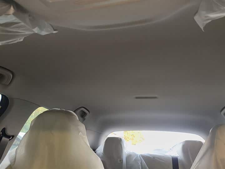 Geely Galaxy Geome 2026 2026款 310km 青春版