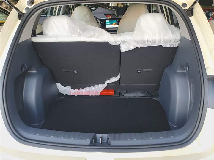 Geely Galaxy Geome 2026 2026款 310km 青春版