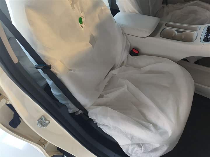 Geely Galaxy Geome 2026 2026款 310km 青春版