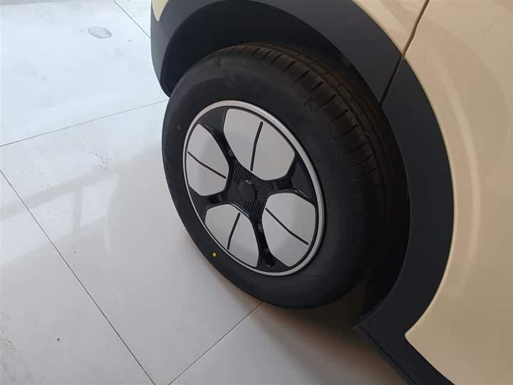 Geely Galaxy Geome 2026 2026款 310km 青春版