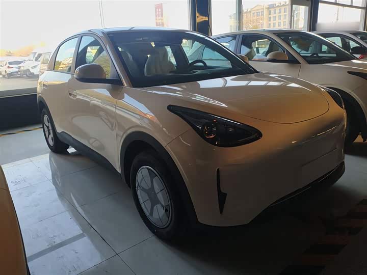 Geely Galaxy Geome 2026 2026款 310km 青春版