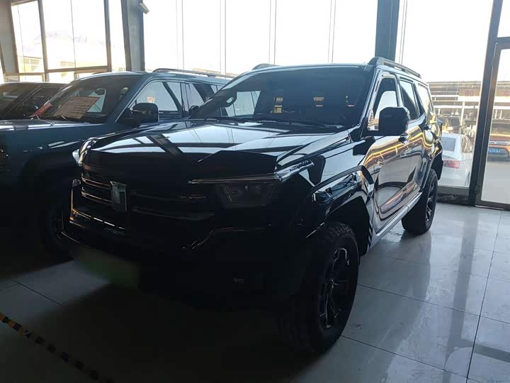 Tank 400 Hybrid 2024 2024款 Hi4-T 越野版